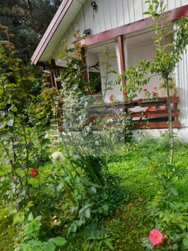 Działka Sprzedaż Piaski Duchowne 5