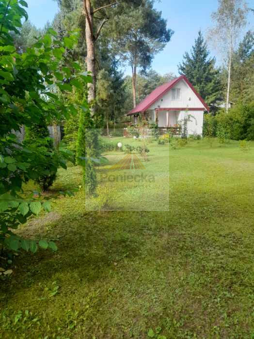 Działka Sprzedaż Piaski Duchowne 1