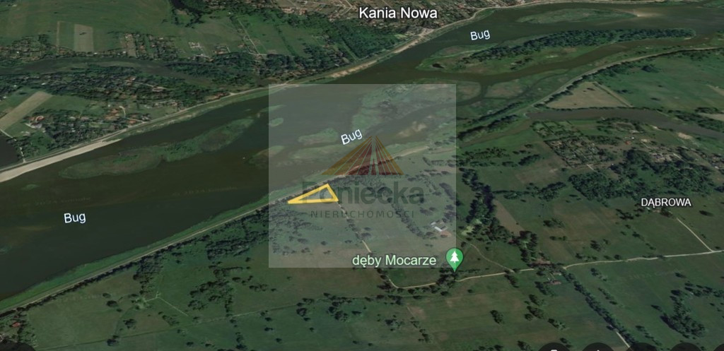 Działka Sprzedaż Arciechów 4
