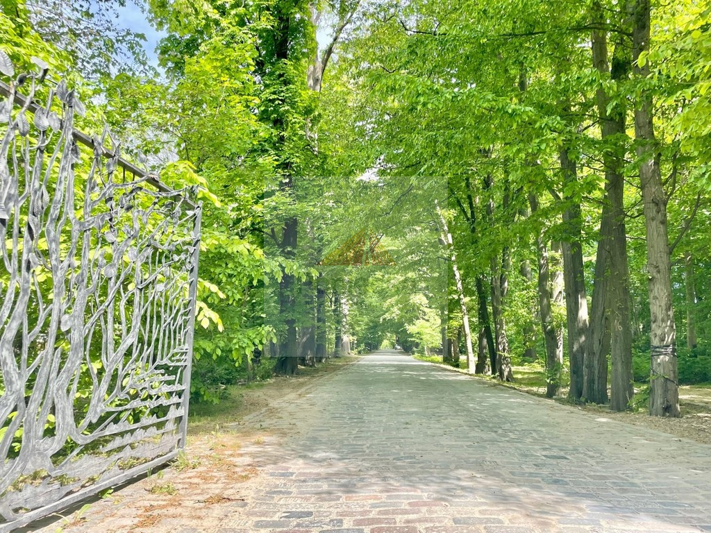 Działka Sprzedaż Ożarów Mazowiecki Srebrzysta Aleja 9