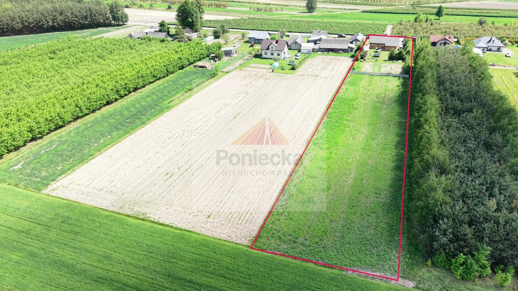 Dom Sprzedaż Wierzchowiska Pierwsze 18