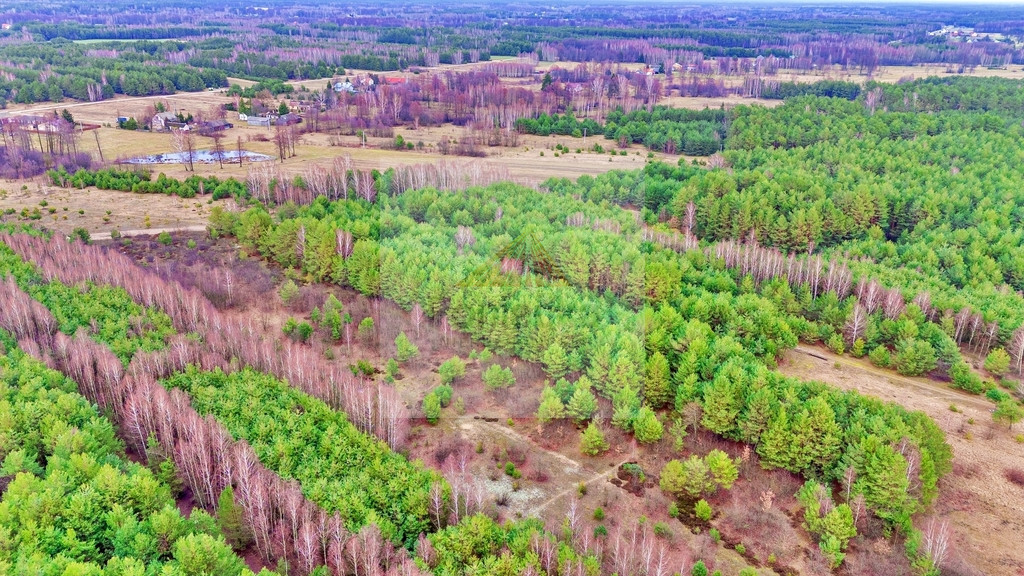 Działka Sprzedaż Kalinowo 19