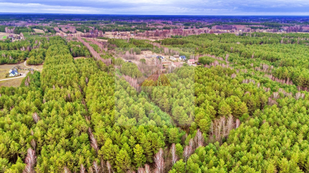 Działka Sprzedaż Kalinowo 26
