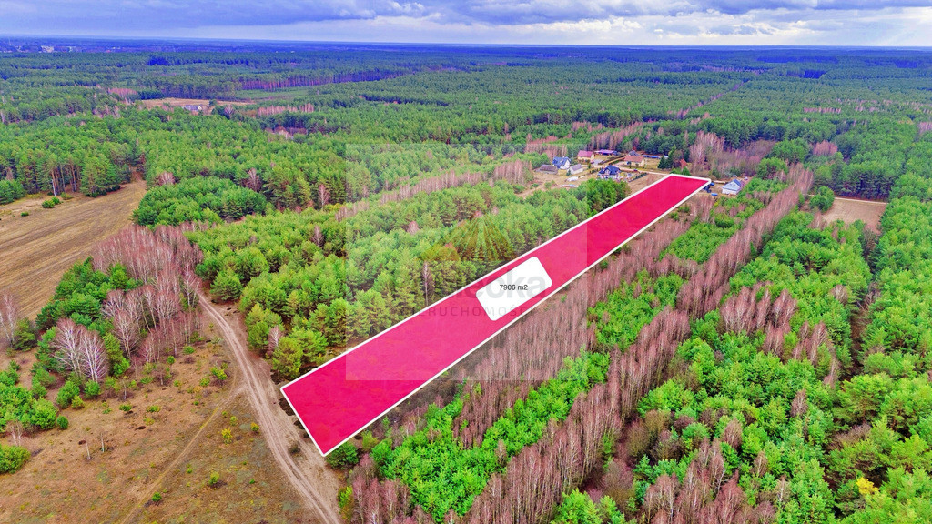 Działka Sprzedaż Kalinowo 10