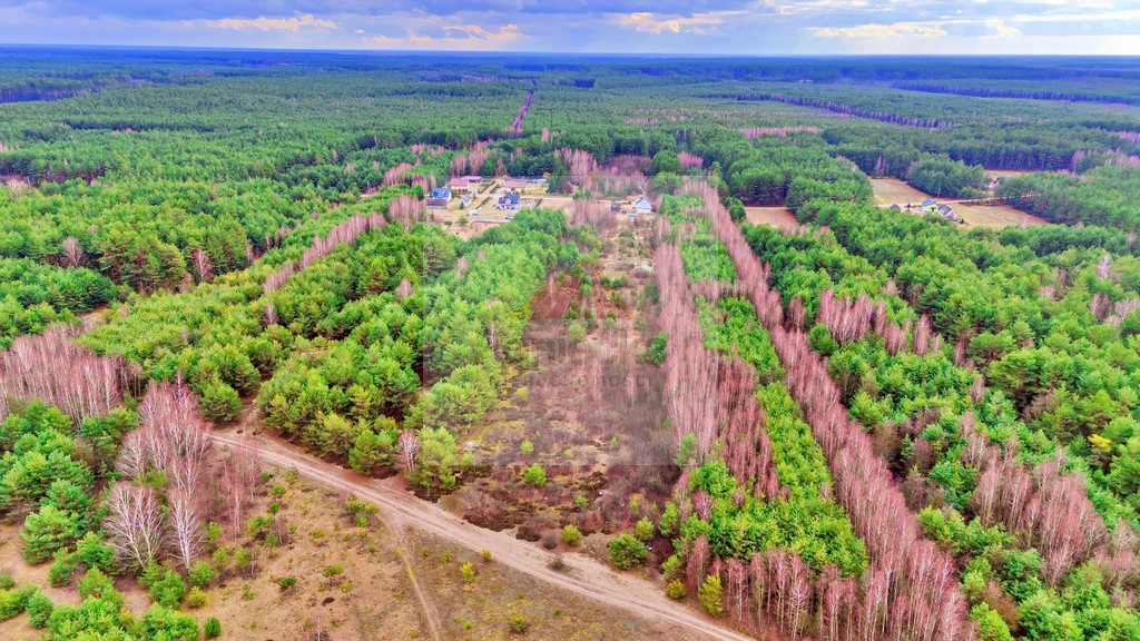 Działka Sprzedaż Kalinowo 20