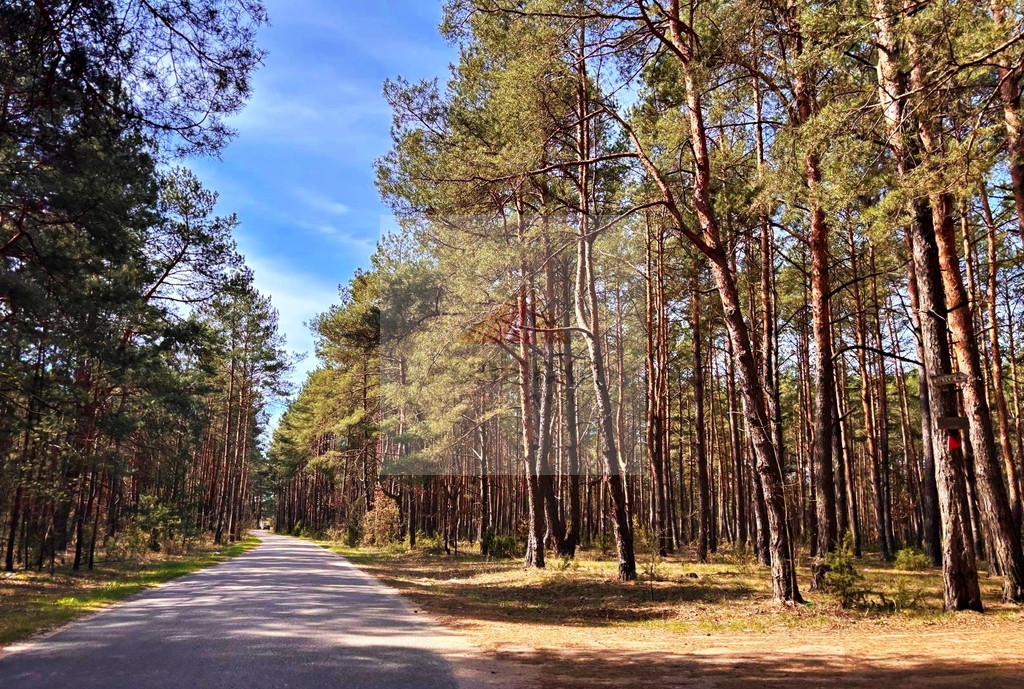 Działka Sprzedaż Kalinowo 1