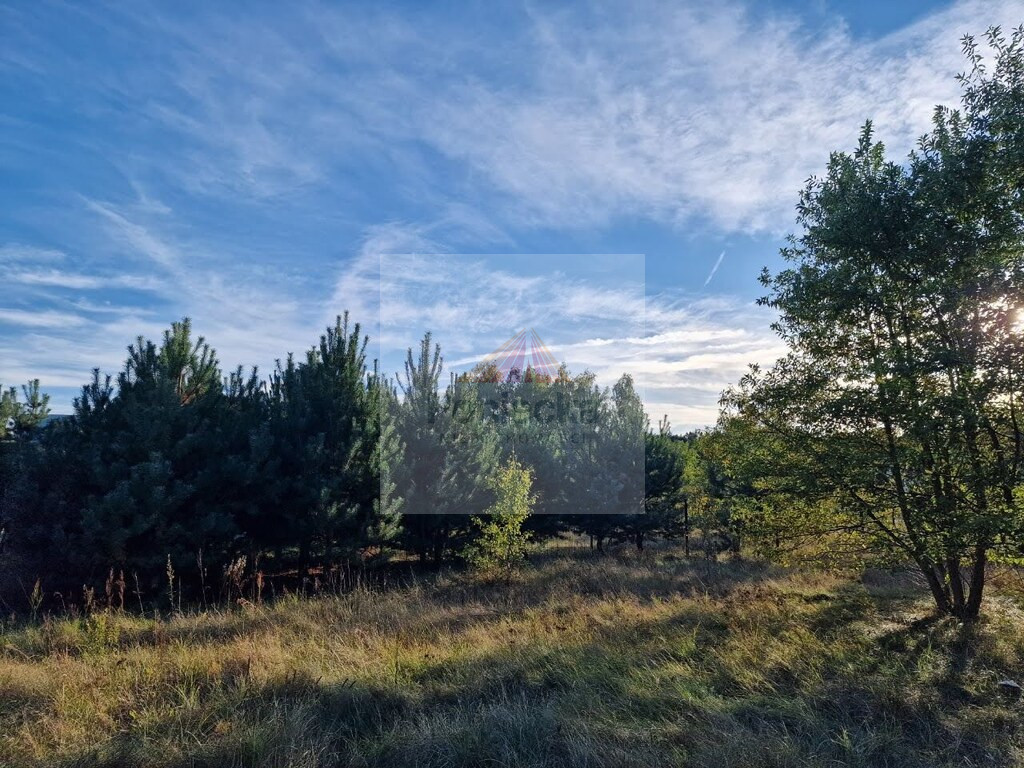 Dom Sprzedaż Radziwiłłów 16