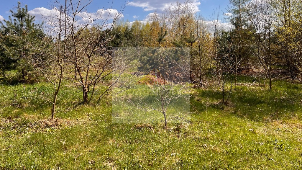 Działka Sprzedaż Nowy Prażmów 3
