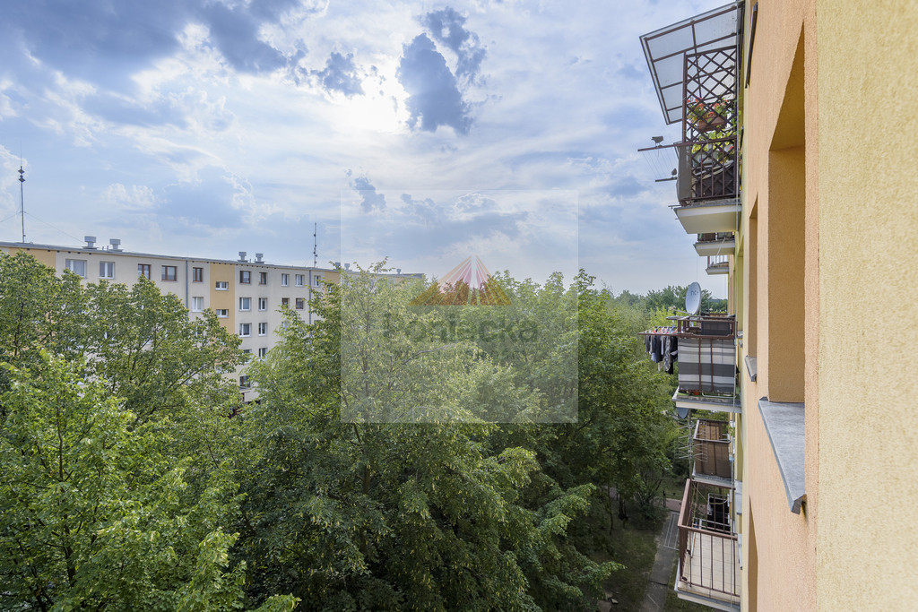 Mieszkanie Sprzedaż Legionowo Zegrzyńska 11