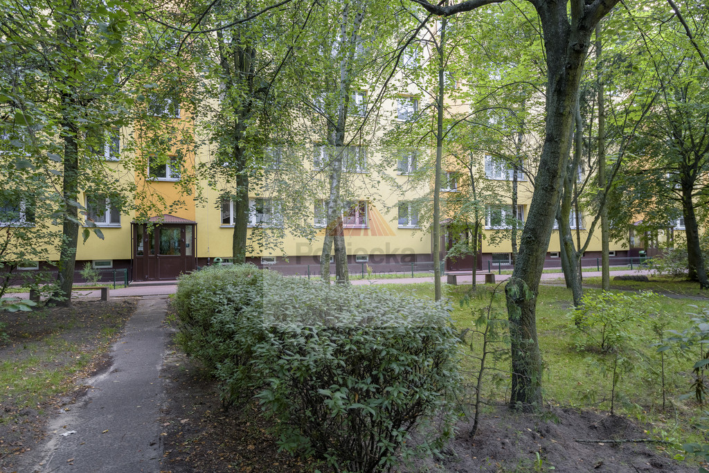 Mieszkanie Sprzedaż Legionowo Zegrzyńska 13
