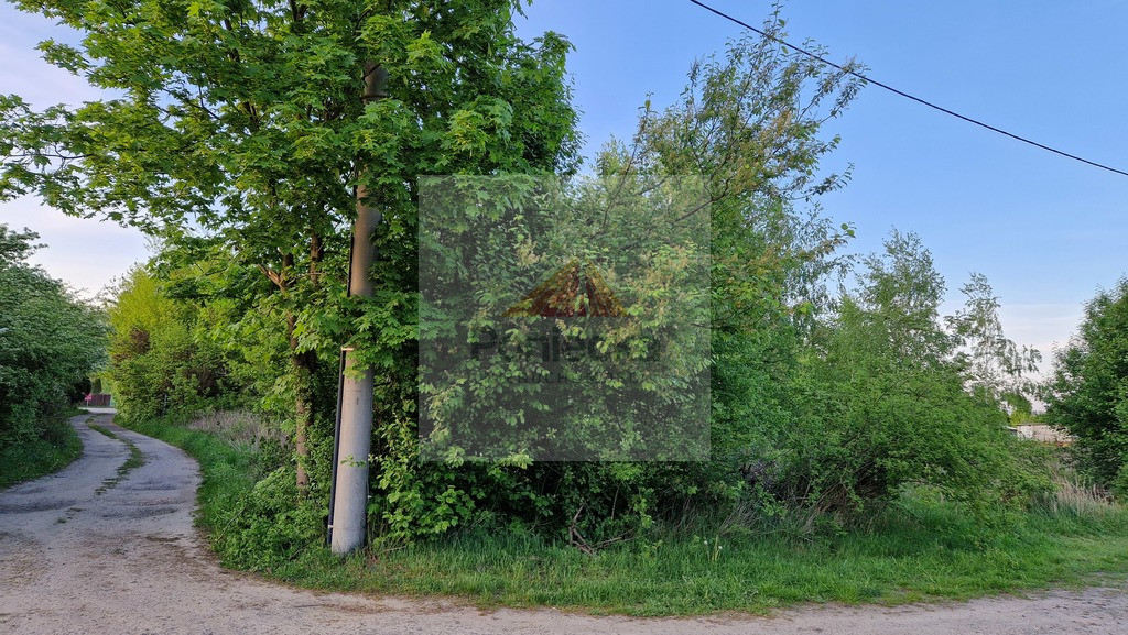 Działka Sprzedaż Dębina Pańska 4